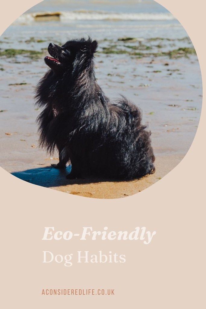 Eco-Friendly Dog Habits with Poppy + Ted