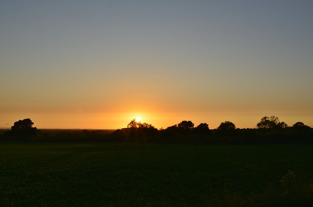 Redhill sunset 210622_DSC3801