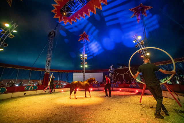 Circus Frankello