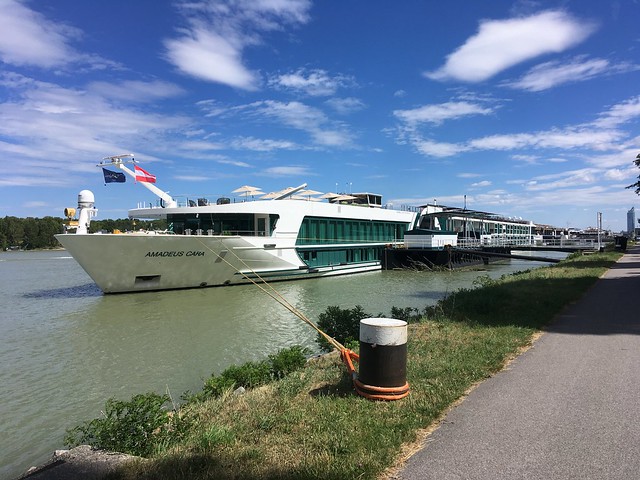 Amadeus Cara on the Danube, Vienna