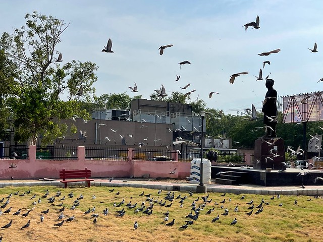 City Hangout - Asaf Ali's Statue, Near Dilli Gate