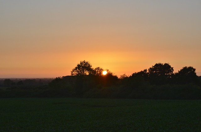 Redhill sunset 210622_DSC3805