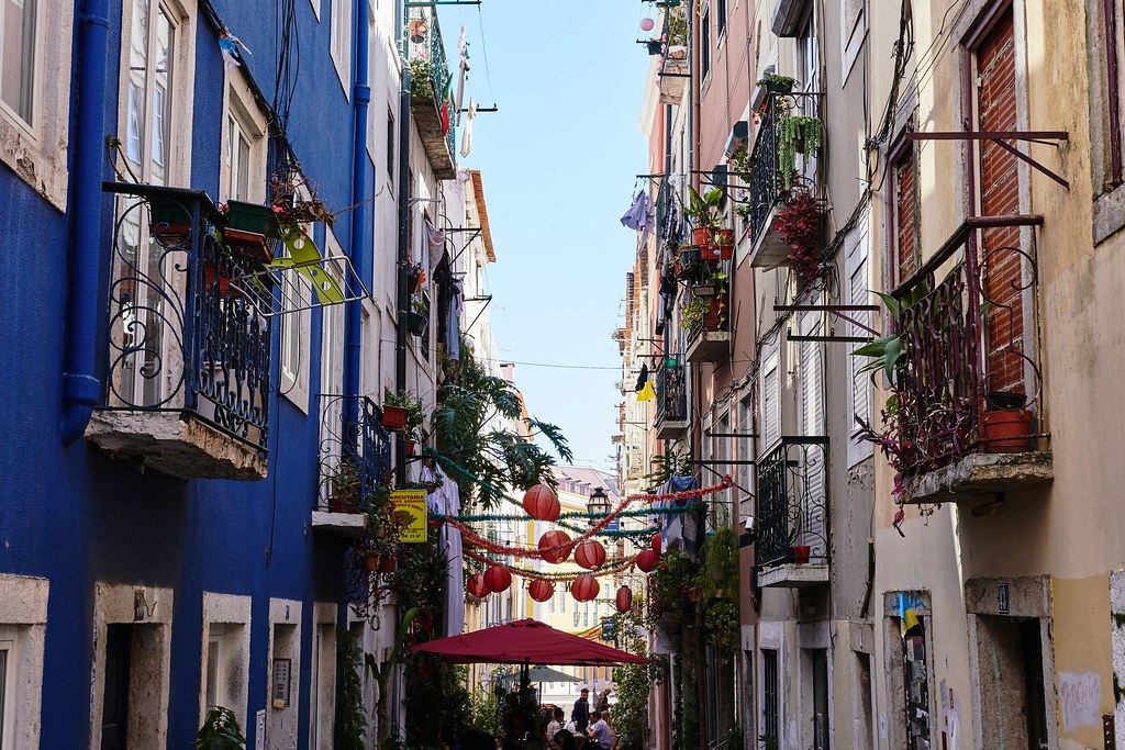 Look into street in lisbon where lots of plants hang from the balconies on each side