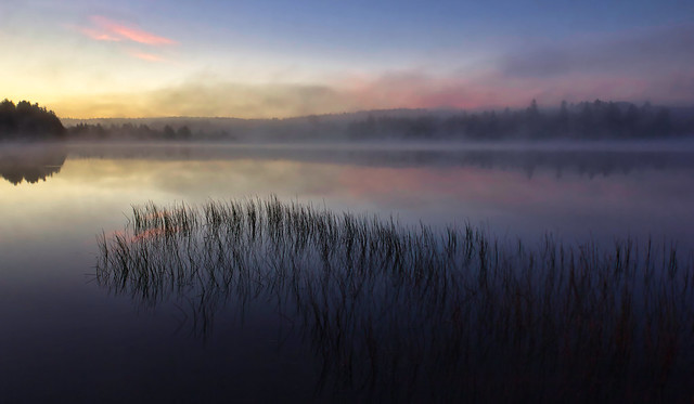 Morning At The Reservoir (Saint John, New Brunswick, Canada) (4464C)