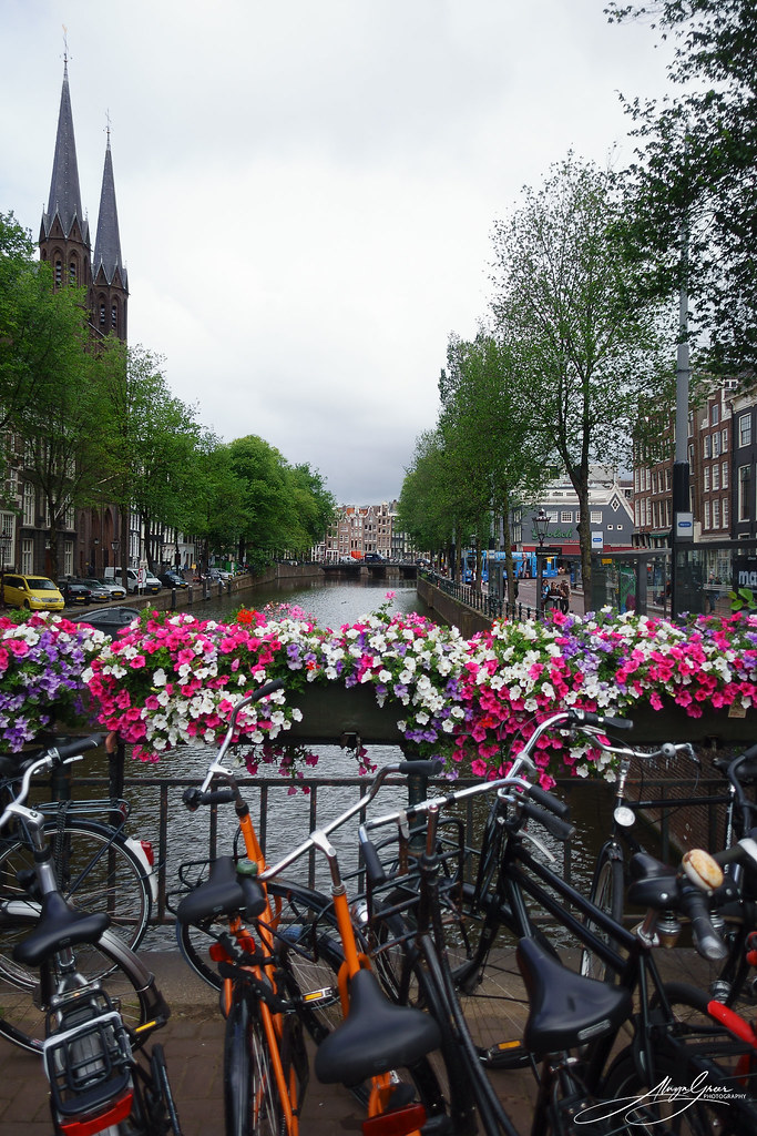 Bicycles, flowers, canals - it can only be one place.