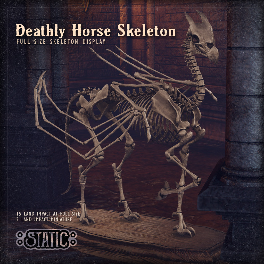 Deathly Horse Skeleton Display