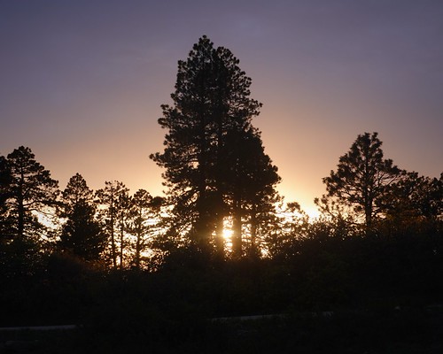 Camp Sunset SR602165 (2) by ferreth, 2022 colorado trees sunset