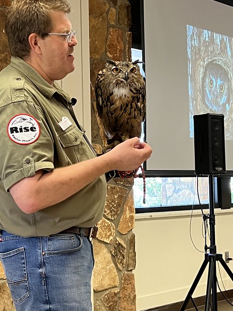c2022 July 23, Maximus the Eurasian Eagle Owl @Joe Wheeler State Park Iphoneography 13 Pro