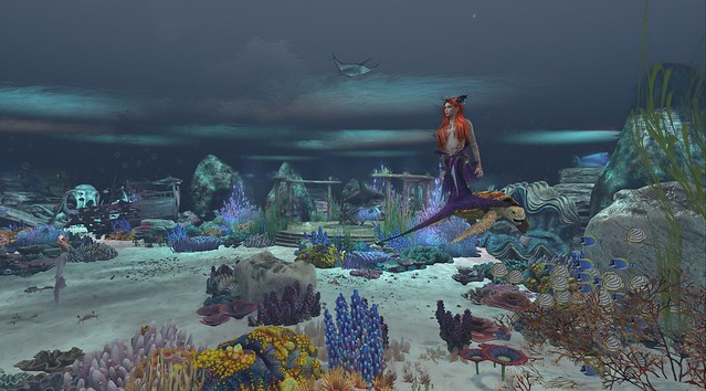 Exploring Luane's Underwater World