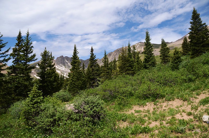 The Citadel (13,294') as seen from Herman Gulch Trail