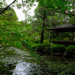 XE3F4117 - Santuario Heian - Heian-jingu Shrine  (Kioto - Kyoto - 京都)