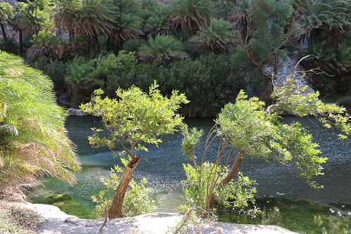 The canyon of the great river near Preveli beach