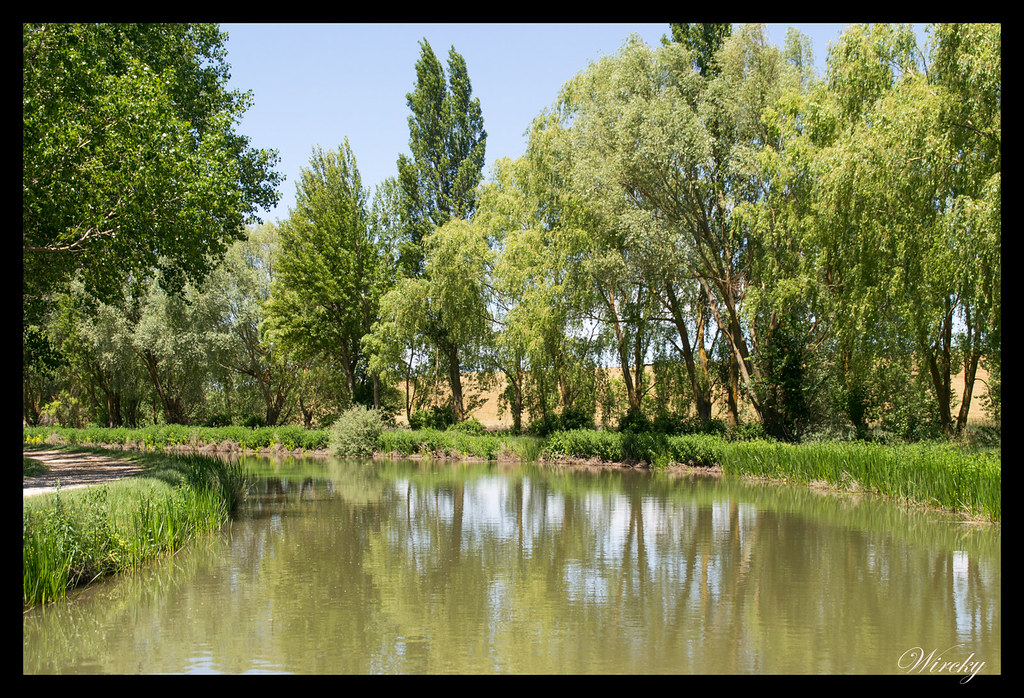 Canal de Castilla