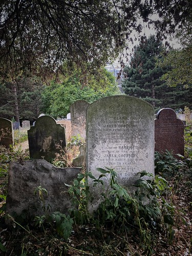 A walk in Brompton Cemetery