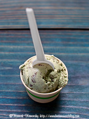 Gati - Mint Chip Ice Cream