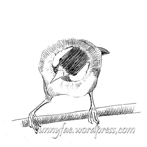 small bird ink sketch 2