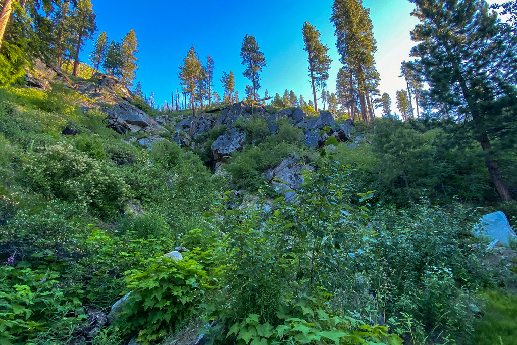 Steepest, thickest bushwack I've done so far. | Nathan Rutz | Flickr