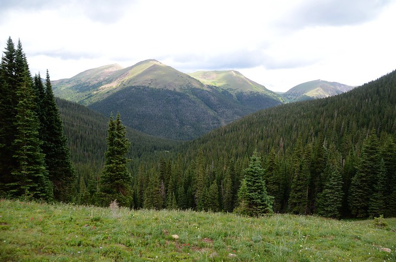 View to the north from Butler Gulch Trail near 11,600' just above the treeline