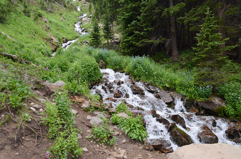 Cascading water along the trail (4)