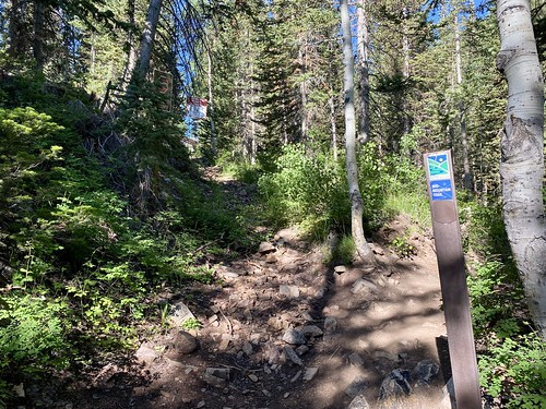 Mid Mountain Trail