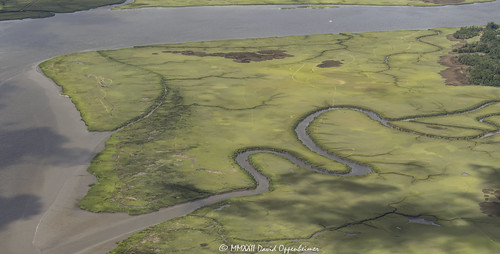 West Marsh Island in North Charleston, South Carolina Aerial View by David Oppenheimer, West Marsh Island in North Charleston, South Carolina aerial view - © 2022 David Oppenheimer - Perfo