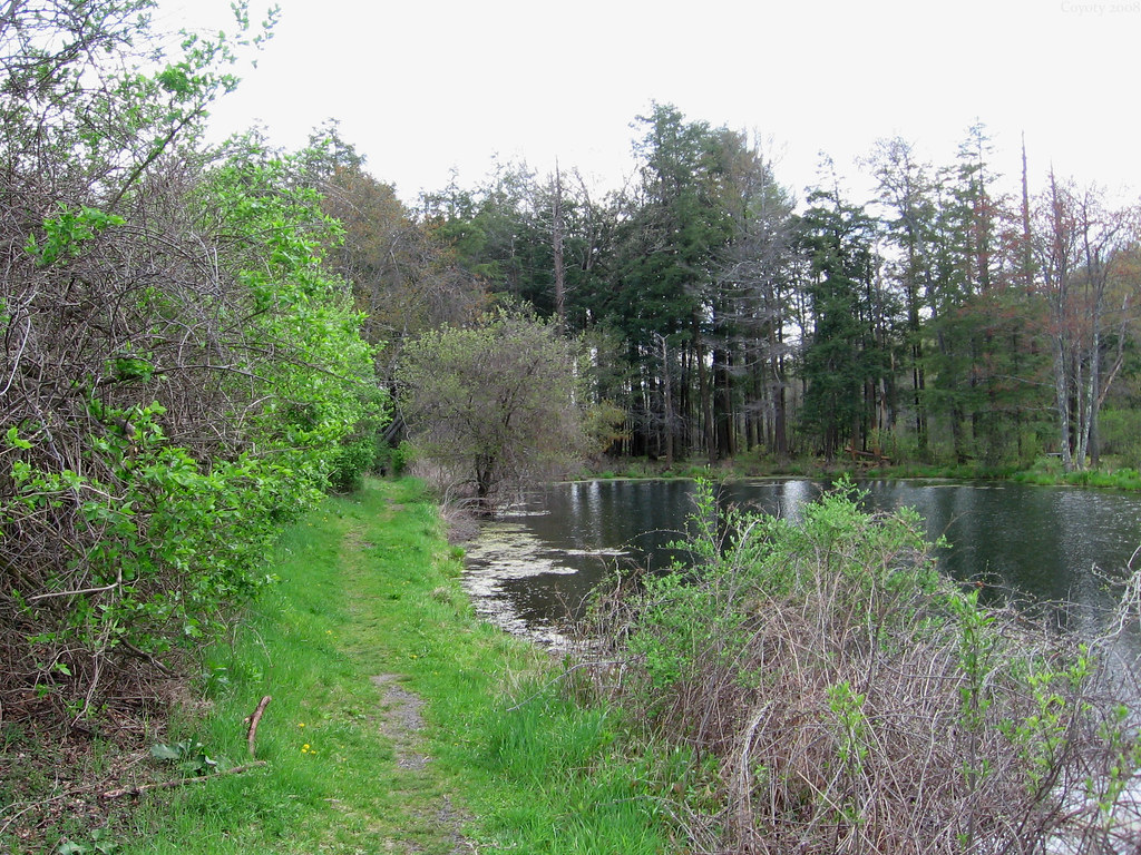 Pondside Trail