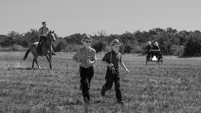 Amish auction, black and white