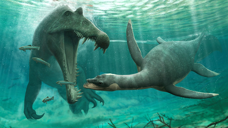An artist's impression of a plesiosaur and spinosaurus in a freshwater river