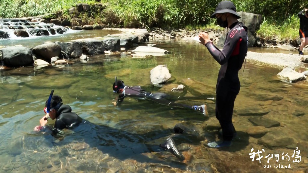 改善工程完工約三個星期後，廖德裕與學生再度來到大溪溪做調查。