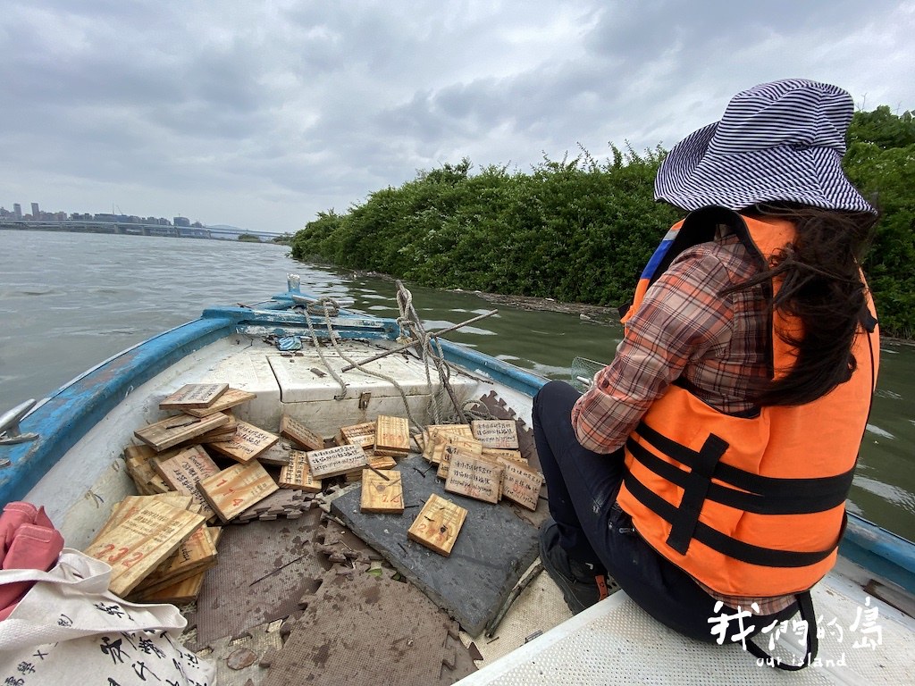 回收木片中，絕大多數都擱淺在淡水河左岸，甚至顛覆印象，逆流往更上游的位置擱淺。