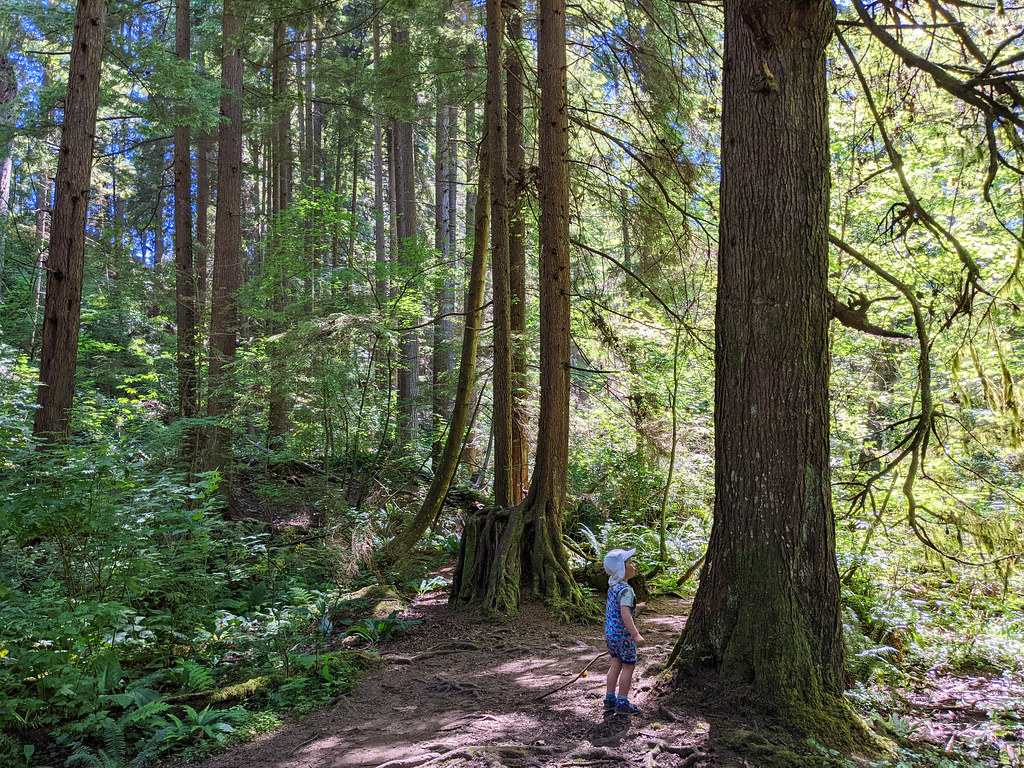 McKay Creek Trail, North Vancouver, BC, Canada