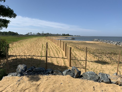 Photo of fencing and rock placed in the and at a shoreline