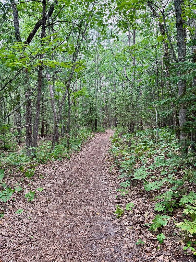 Hiking Trail at Petoskey State Park. Photo by howderfamily.com; (CC BY-NC-SA 2.0)