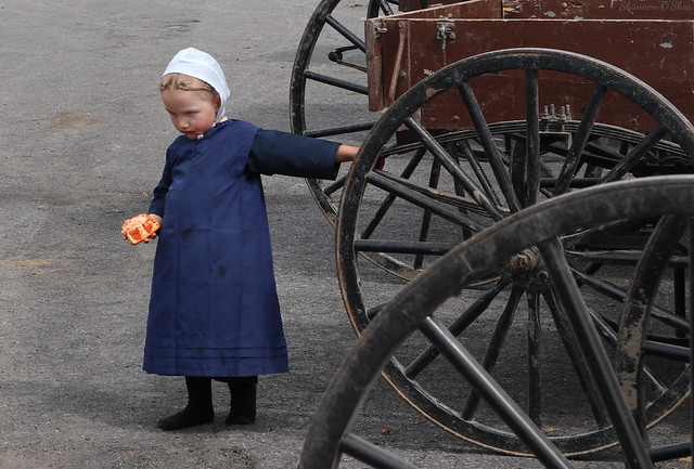 Amish girl with pizza
