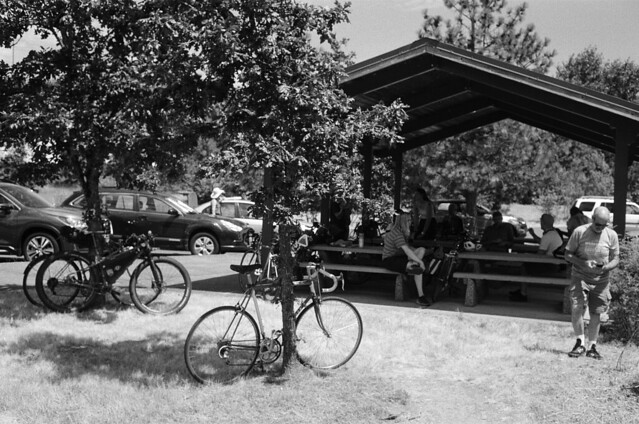 Taking a break in the shade by Smith Lake. 9 July 2022