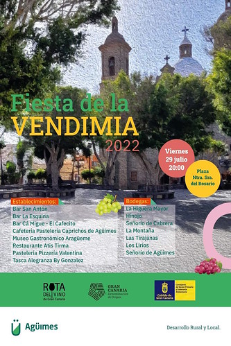 Cartel promocional de la I Fiesta de la Vendimia 2022