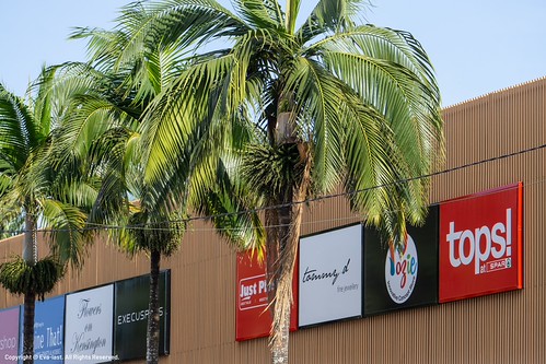 Kensington Spar, Eva-Last, Decorative Balusters, Savanna, VistaClad, Infinity, Teak, Advanced Bamboo Composite Cladding | by http://www.eva-last.com