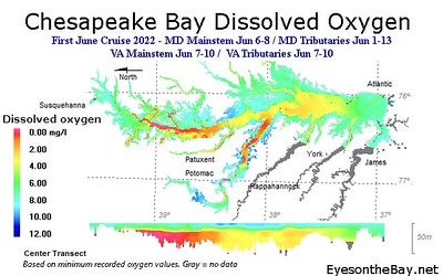 Map of hypoxia volumes recorded in early June 2022