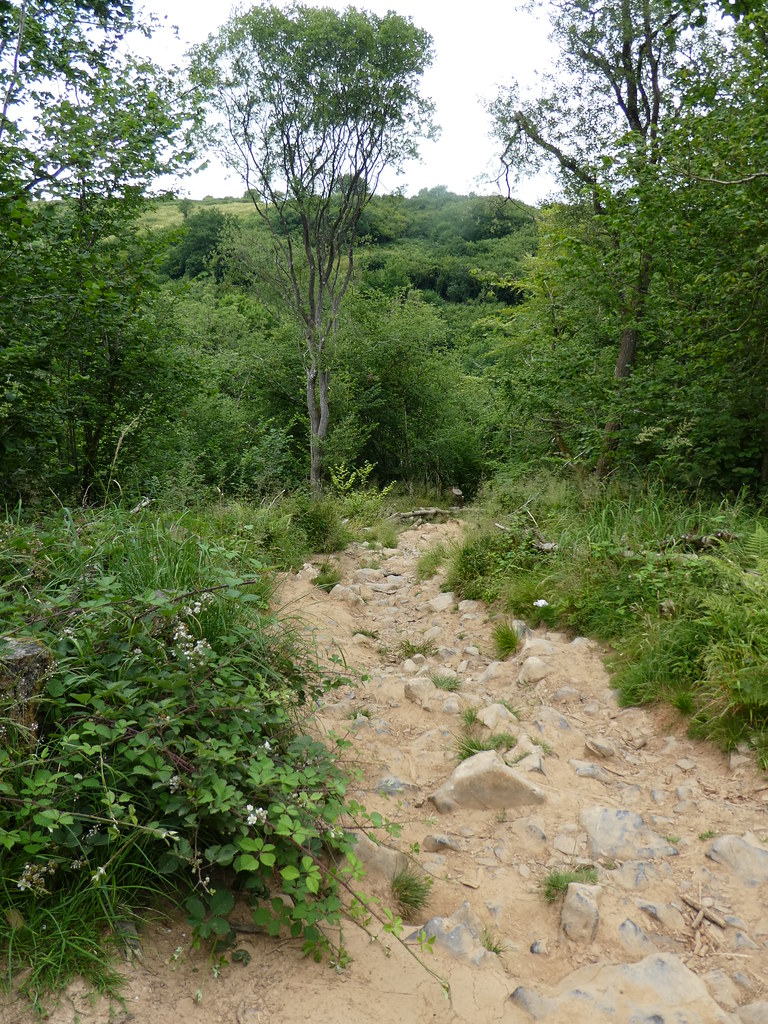 The stony cliff-top path above Cheddar Gorge