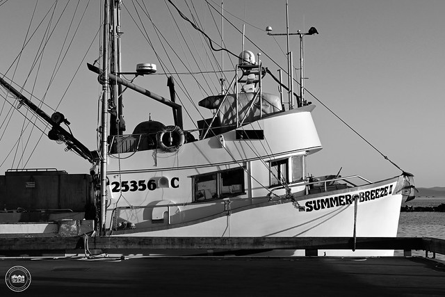 MV SUMMER BREEZE II, FISHBOAT c. 1979 - STEVESTON HARBOUR