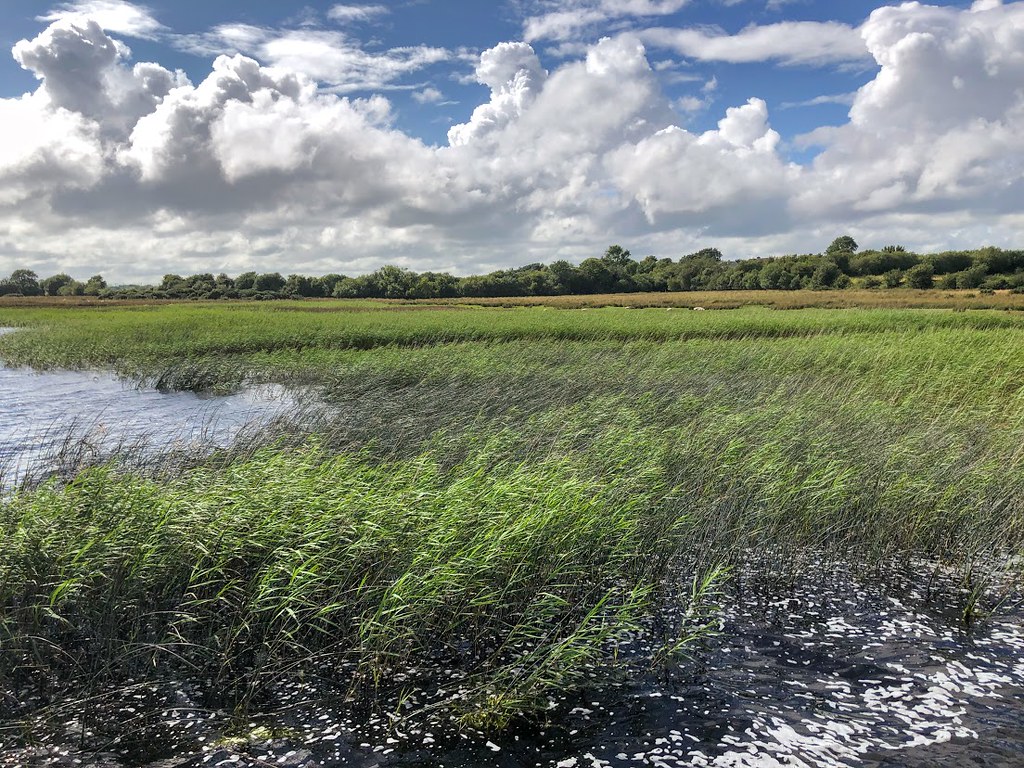 IMG_2652 | Lough Ree on the River Shannon, Co. Roscommon. | Ian Newman ...