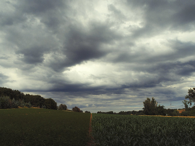 Die Felder warten auf Regen - The fields are waiting for rain