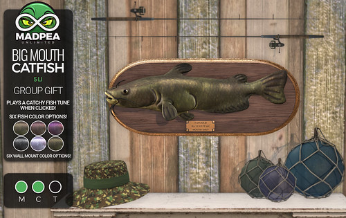 MadPea Unlimited Group Gift: Big Mouth Catfish