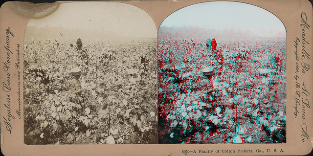 8050—A Family of Cotton Pickers, Ga., U. S. A 1898