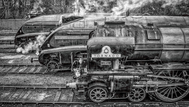 Gresley and Peppercorn Pacifics
