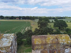 view from South Burlingham tower