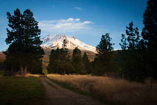 Road to Mt. Shasta