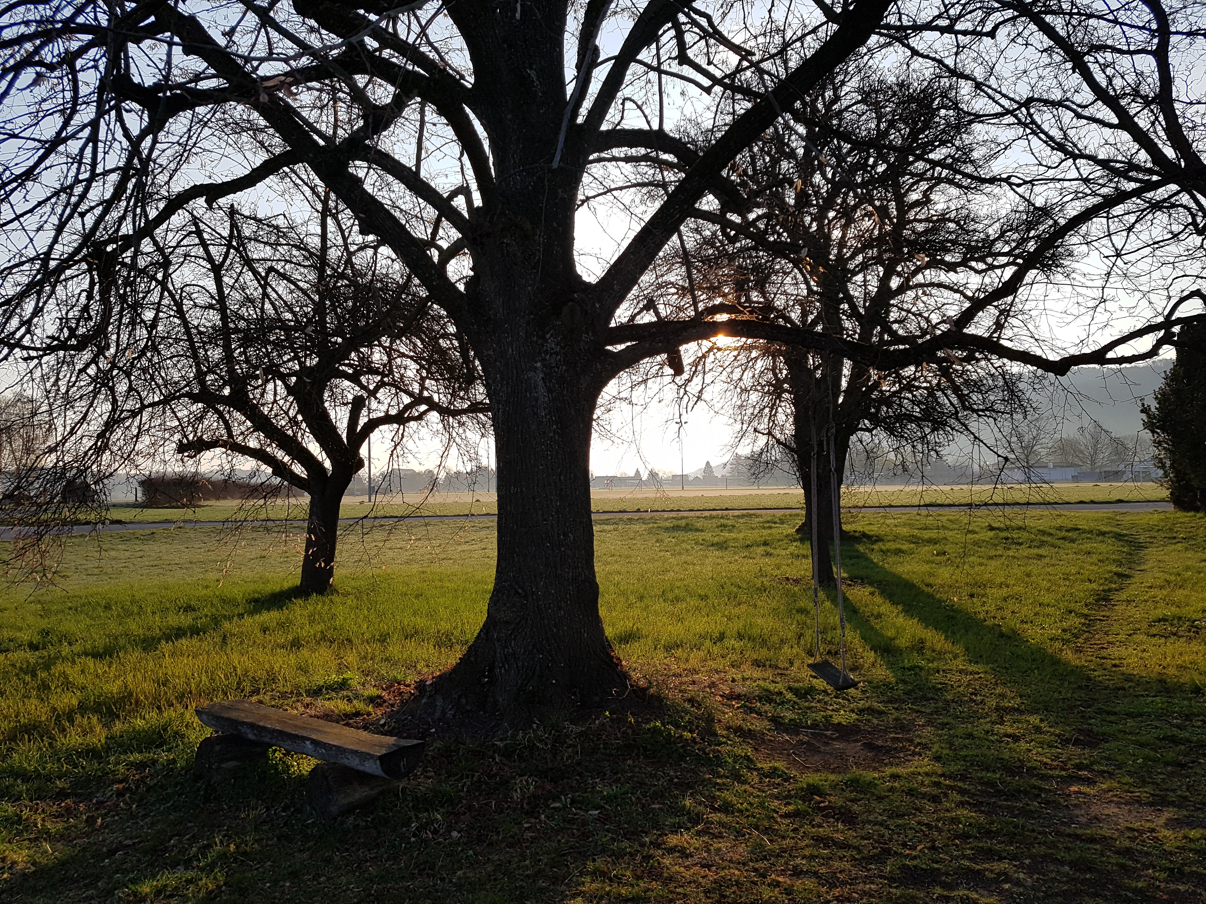 Garten zum Kranz