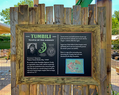 Photo 3 of 6 in the Tumbili gallery