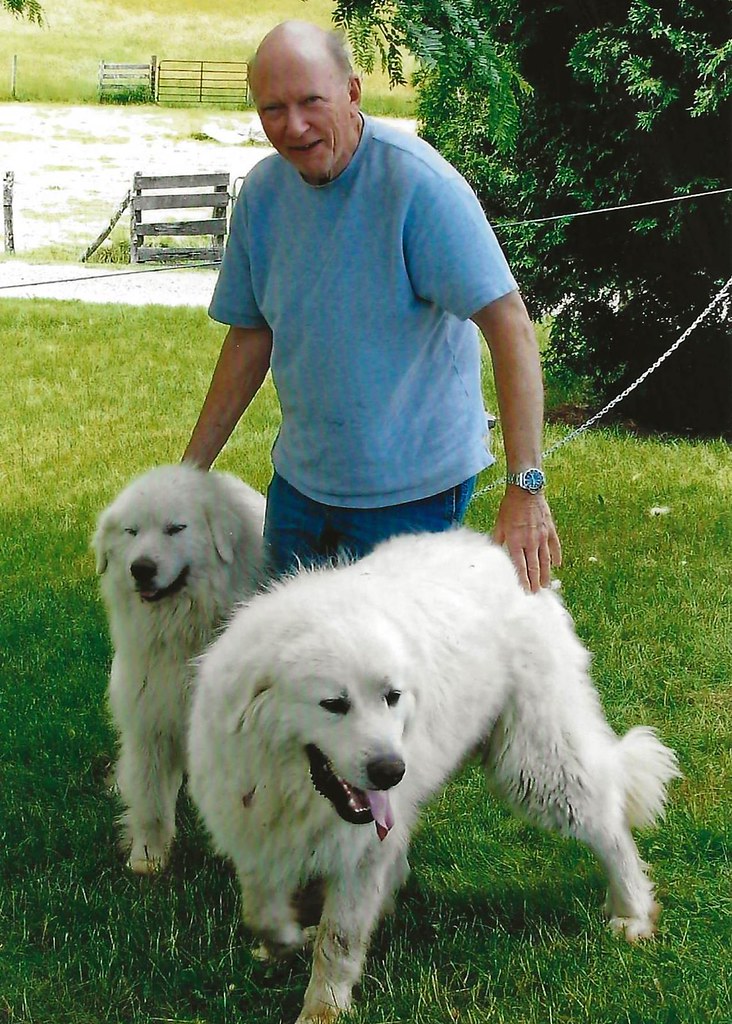 Bill Spencer With Roxie & Alex, His Great Pyrenees Dogs, In Independence, Virginia (Grayson County, Southwest Virginia), 2010